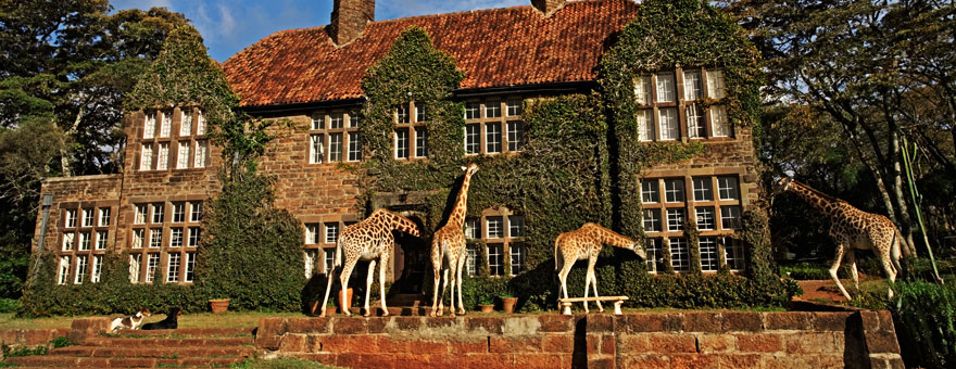 giraffe manor boutique в кении